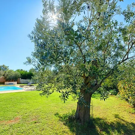 Mare3 With Pool, Sea View And Hydromassage Lägenhet Banjole