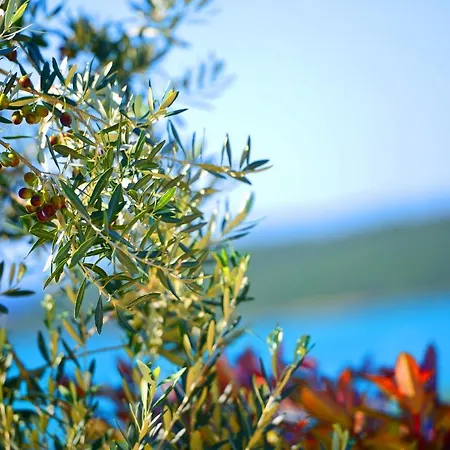 Mare3 With Pool, Sea View And Hydromassage Banjole