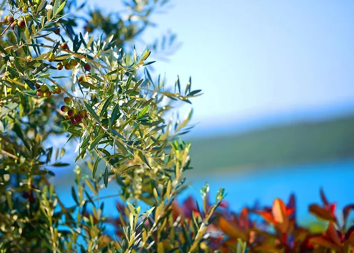 Mare3 With Pool, Sea View And Hydromassage Banjole